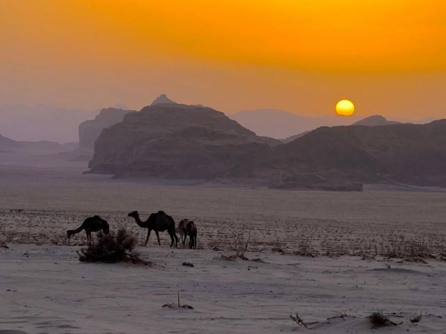 White Desert Camp Wadi Rum Exterior photo